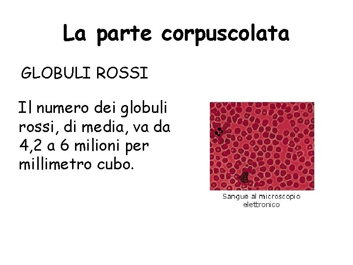 La parte corpuscolata GLOBULI ROSSI Il numero dei globuli rossi, di media, va da