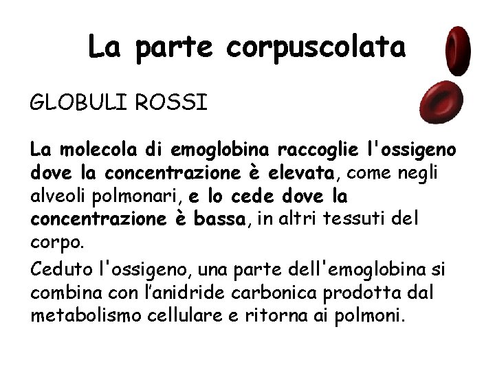 La parte corpuscolata GLOBULI ROSSI La molecola di emoglobina raccoglie l'ossigeno dove la concentrazione