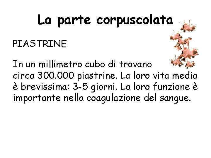 La parte corpuscolata PIASTRINE In un millimetro cubo di trovano circa 300. 000 piastrine.