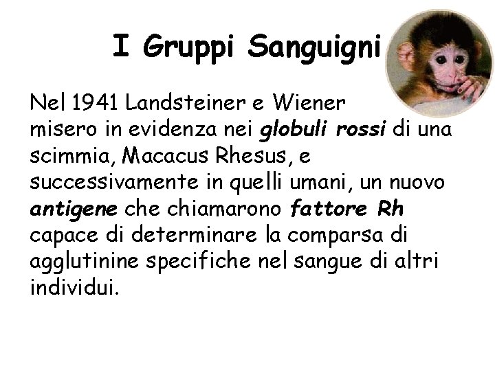 I Gruppi Sanguigni Nel 1941 Landsteiner e Wiener misero in evidenza nei globuli rossi