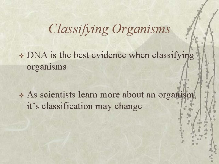 Classifying Organisms v DNA is the best evidence when classifying organisms v As scientists