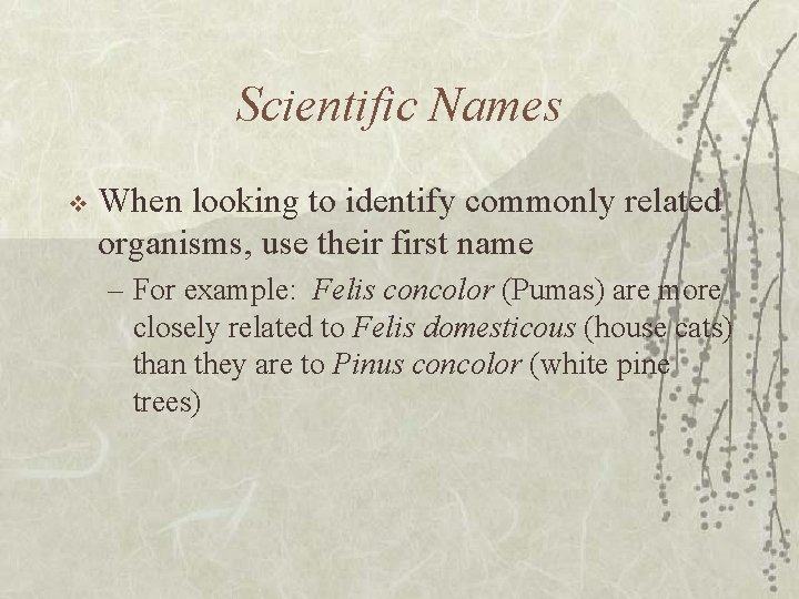 Scientific Names v When looking to identify commonly related organisms, use their first name