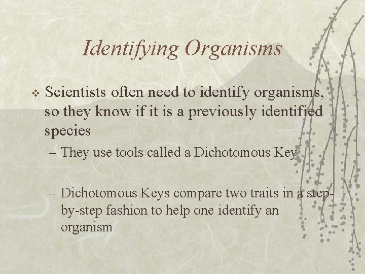 Identifying Organisms v Scientists often need to identify organisms, so they know if it