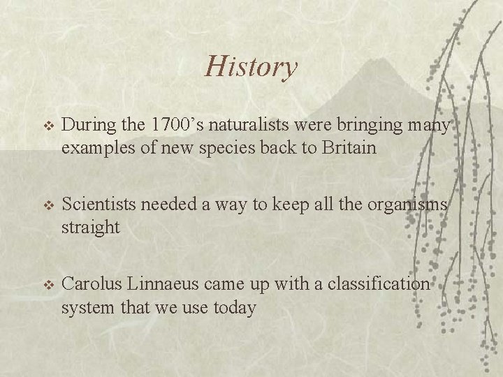 History v During the 1700’s naturalists were bringing many examples of new species back