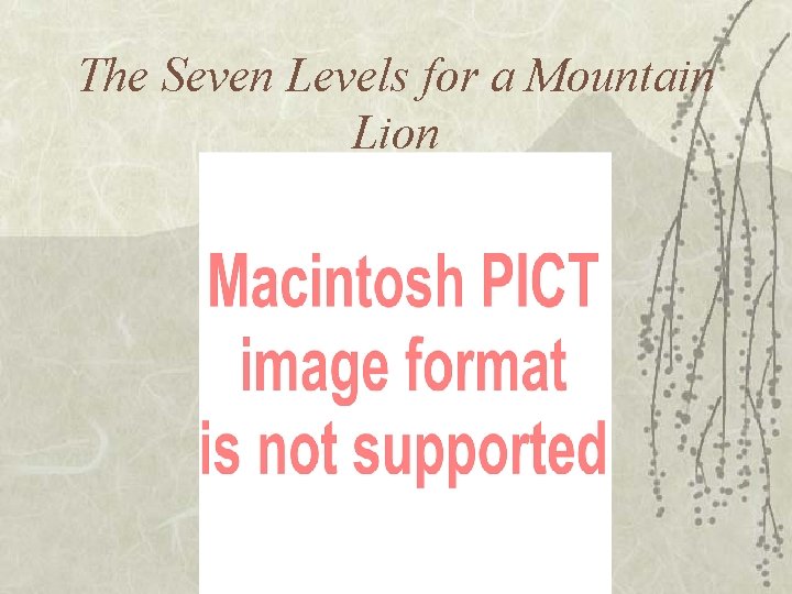 The Seven Levels for a Mountain Lion 