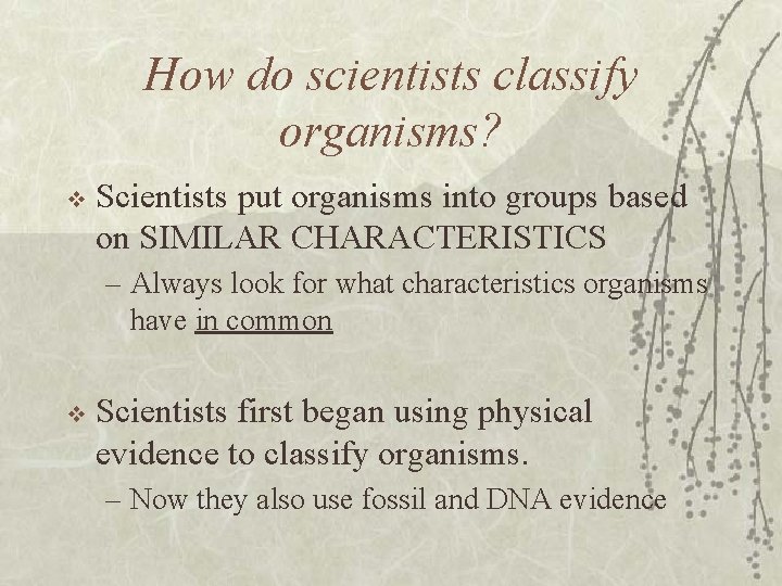How do scientists classify organisms? v Scientists put organisms into groups based on SIMILAR