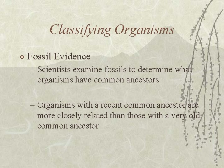 Classifying Organisms v Fossil Evidence – Scientists examine fossils to determine what organisms have