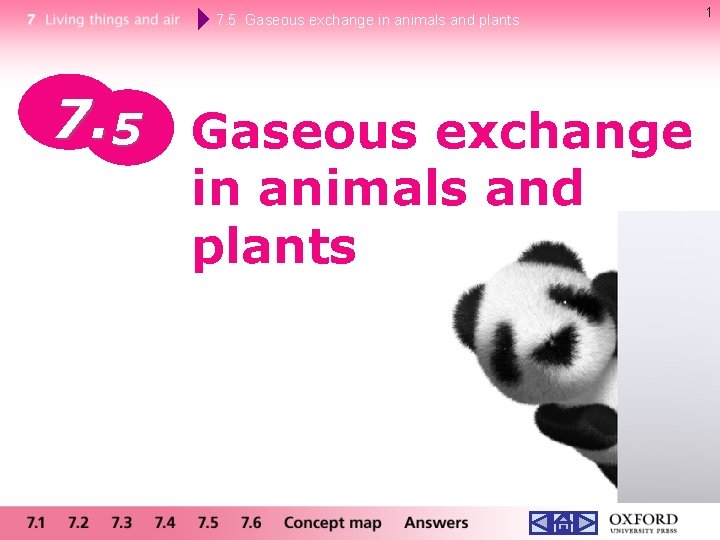 7. 5 Gaseous exchange in animals and plants 1 