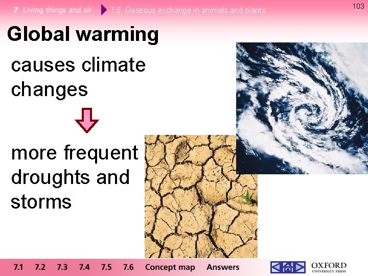 7. 5 Gaseous exchange in animals and plants Global warming causes climate changes more