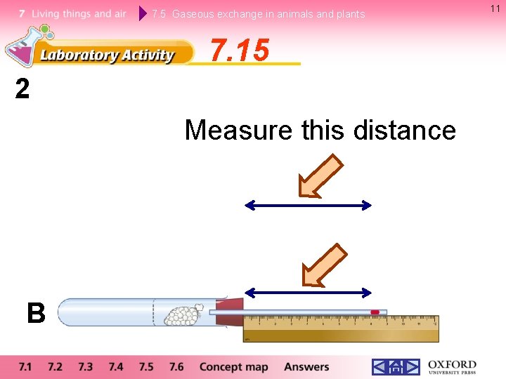 7. 5 Gaseous exchange in animals and plants 7. 15 2 Measure this distance