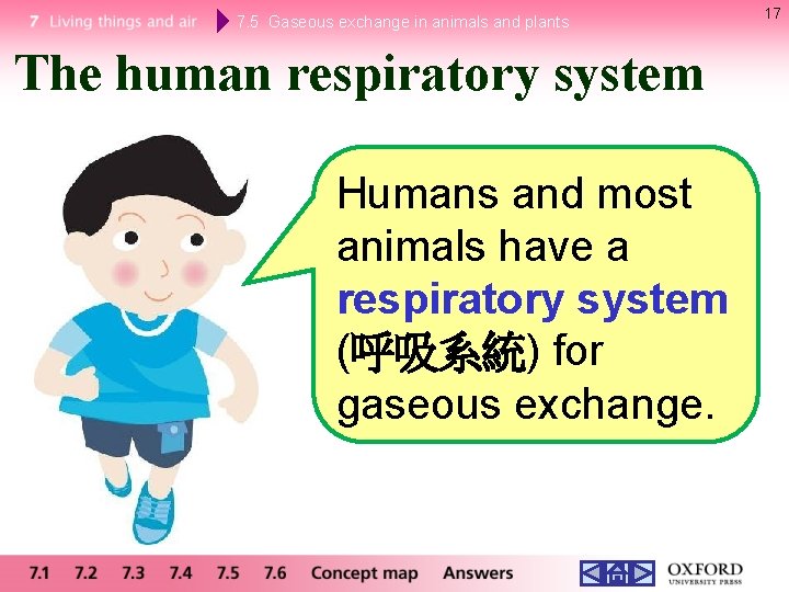 7. 5 Gaseous exchange in animals and plants The human respiratory system Humans and