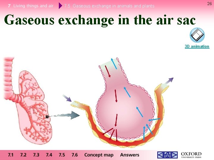 26 7. 5 Gaseous exchange in animals and plants Gaseous exchange in the air 26 7. 5 Gaseous exchange in animals and plants Gaseous exchange in the air