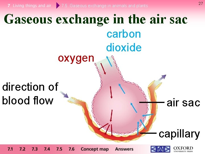 27 7. 5 Gaseous exchange in animals and plants Gaseous exchange in the air 27 7. 5 Gaseous exchange in animals and plants Gaseous exchange in the air