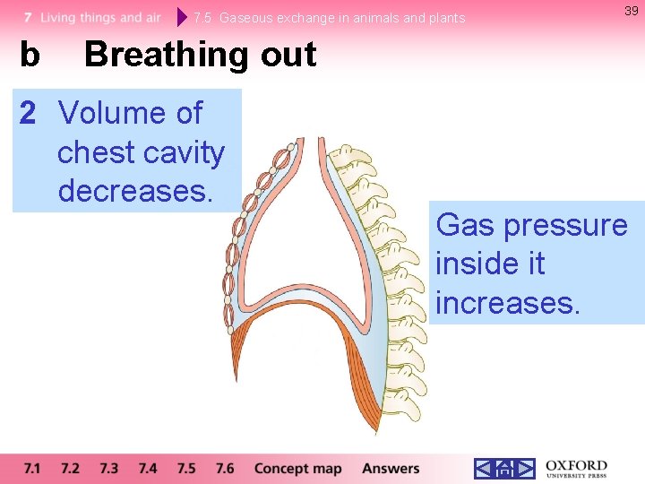 7. 5 Gaseous exchange in animals and plants b 39 Breathing out 2 Volume 7. 5 Gaseous exchange in animals and plants b 39 Breathing out 2 Volume