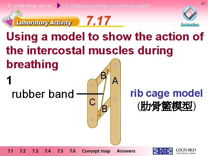 41 7. 5 Gaseous exchange in animals and plants 7. 17 Animation Using a