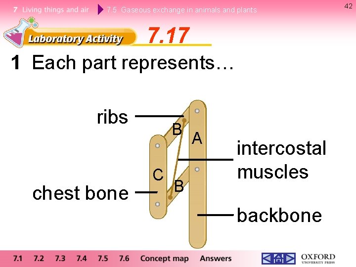 7. 5 Gaseous exchange in animals and plants 7. 17 1 Each part represents…