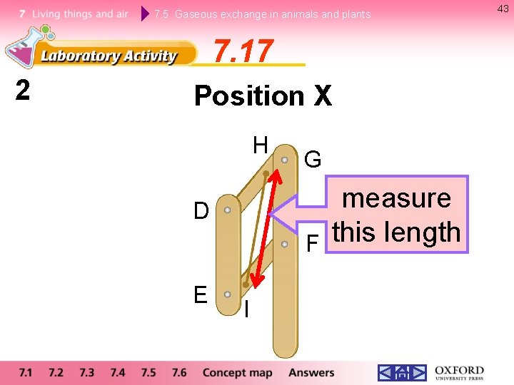 7. 5 Gaseous exchange in animals and plants 7. 17 2 Position X H