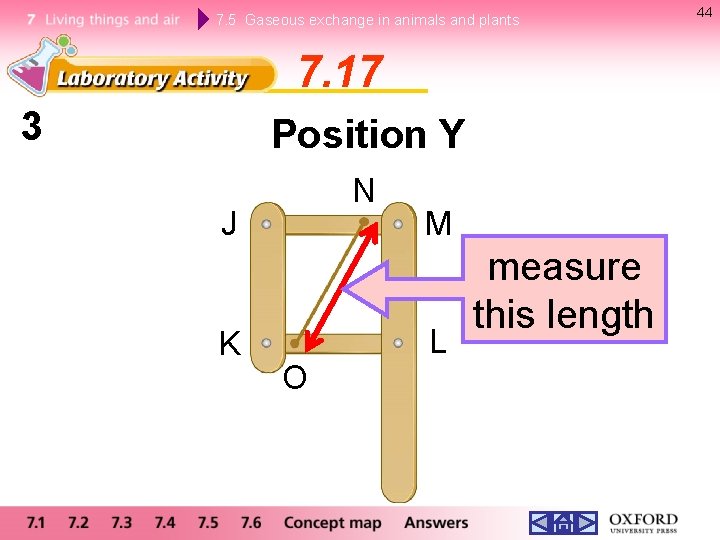 7. 5 Gaseous exchange in animals and plants 7. 17 3 Position Y N