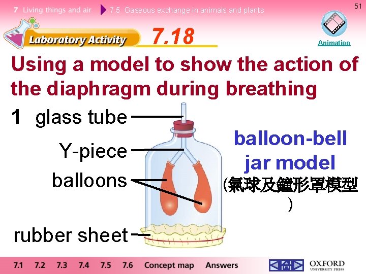 51 7. 5 Gaseous exchange in animals and plants 7. 18 Animation Using a 51 7. 5 Gaseous exchange in animals and plants 7. 18 Animation Using a