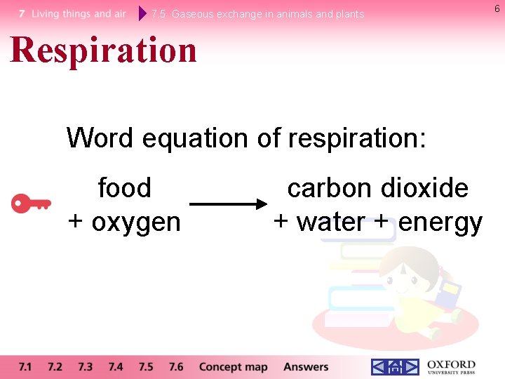 7. 5 Gaseous exchange in animals and plants Respiration Word equation of respiration: food 7. 5 Gaseous exchange in animals and plants Respiration Word equation of respiration: food