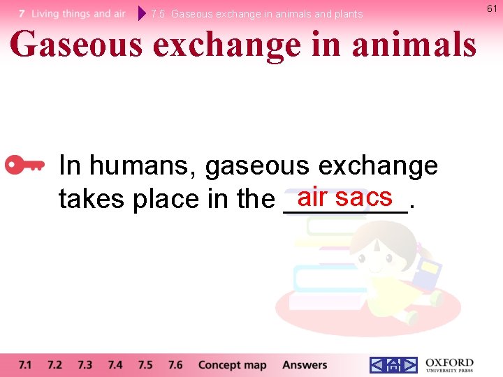 7. 5 Gaseous exchange in animals and plants Gaseous exchange in animals In humans,