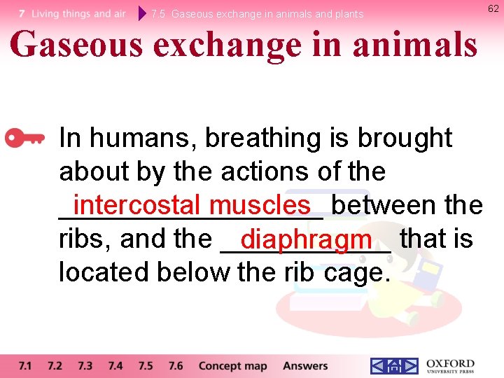 7. 5 Gaseous exchange in animals and plants Gaseous exchange in animals In humans, 7. 5 Gaseous exchange in animals and plants Gaseous exchange in animals In humans,