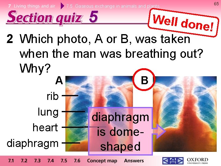 65 7. 5 Gaseous exchange in animals and plants 5 Well don e! 2