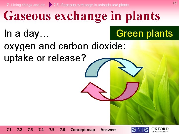 7. 5 Gaseous exchange in animals and plants Gaseous exchange in plants In a 7. 5 Gaseous exchange in animals and plants Gaseous exchange in plants In a