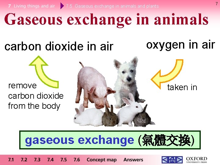 7 7. 5 Gaseous exchange in animals and plants Gaseous exchange in animals carbon