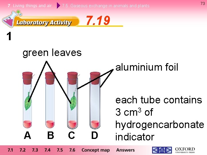 7. 5 Gaseous exchange in animals and plants 73 7. 19 1 green leaves 7. 5 Gaseous exchange in animals and plants 73 7. 19 1 green leaves