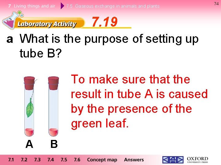 7. 5 Gaseous exchange in animals and plants 7. 19 a What is the 7. 5 Gaseous exchange in animals and plants 7. 19 a What is the