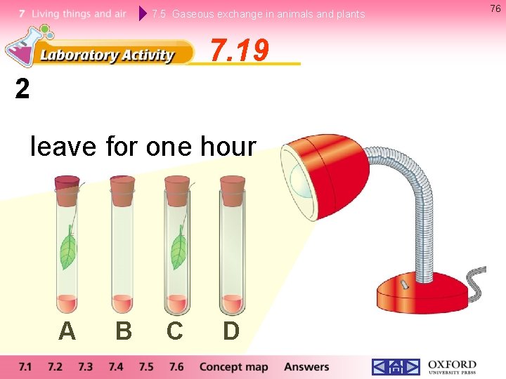 7. 5 Gaseous exchange in animals and plants 7. 19 2 leave for one