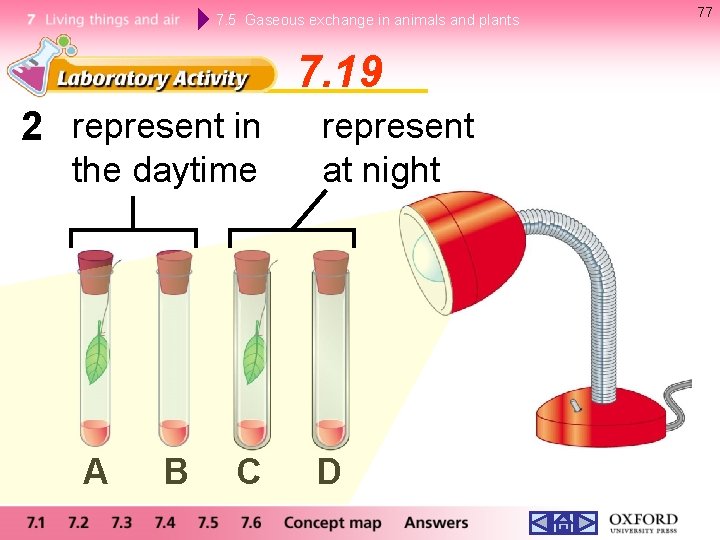 7. 5 Gaseous exchange in animals and plants 7. 19 2 represent in the