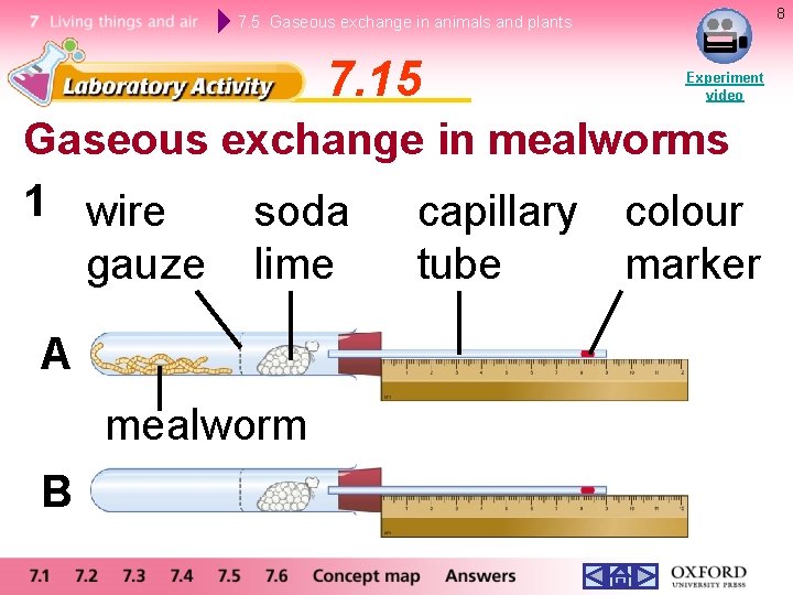 8 7. 5 Gaseous exchange in animals and plants 7. 15 Experiment video Gaseous 8 7. 5 Gaseous exchange in animals and plants 7. 15 Experiment video Gaseous