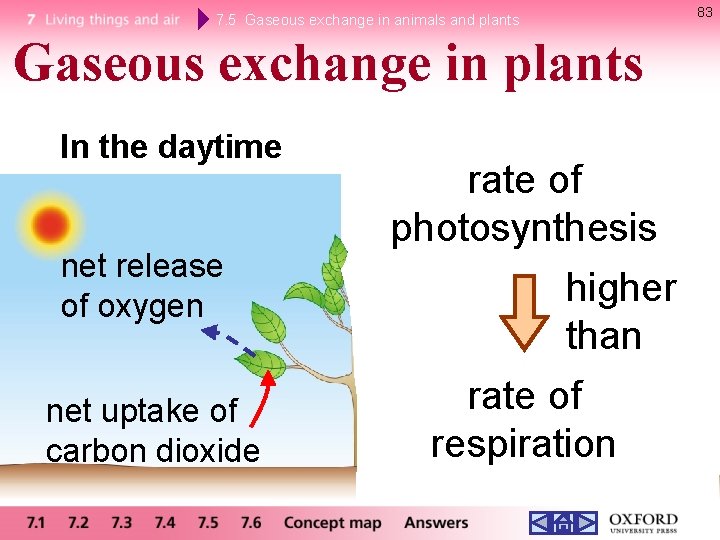 7. 5 Gaseous exchange in animals and plants Gaseous exchange in plants In the