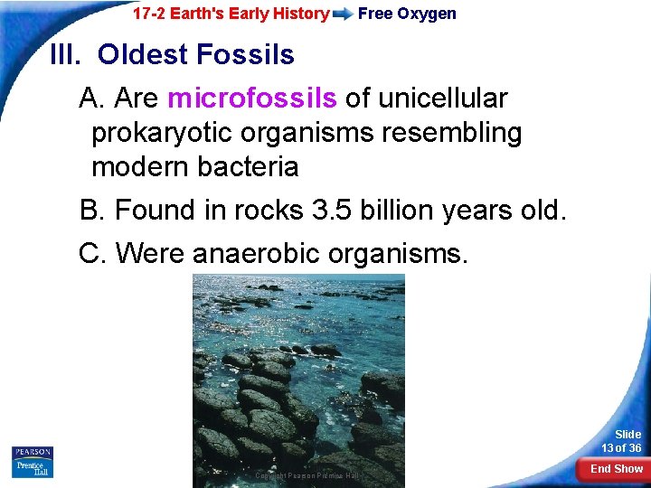 17 -2 Earth's Early History Free Oxygen III. Oldest Fossils A. Are microfossils of