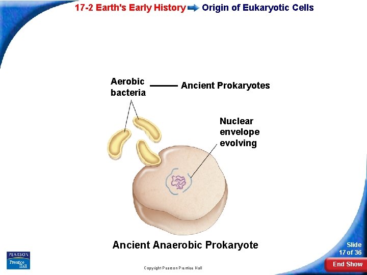 17 -2 Earth's Early History Aerobic bacteria Origin of Eukaryotic Cells Ancient Prokaryotes Nuclear
