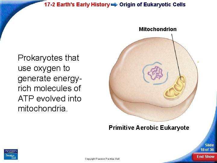 17 -2 Earth's Early History Origin of Eukaryotic Cells Mitochondrion Prokaryotes that use oxygen
