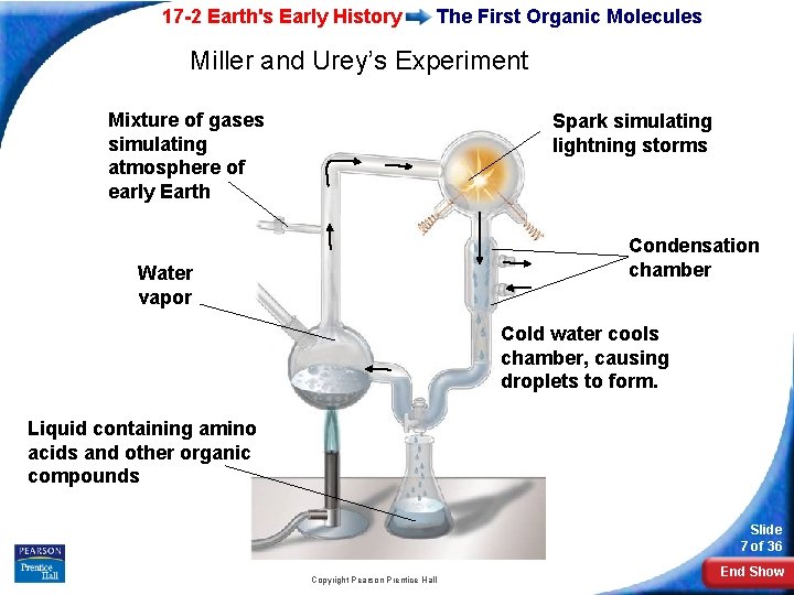 17 -2 Earth's Early History The First Organic Molecules Miller and Urey’s Experiment Mixture