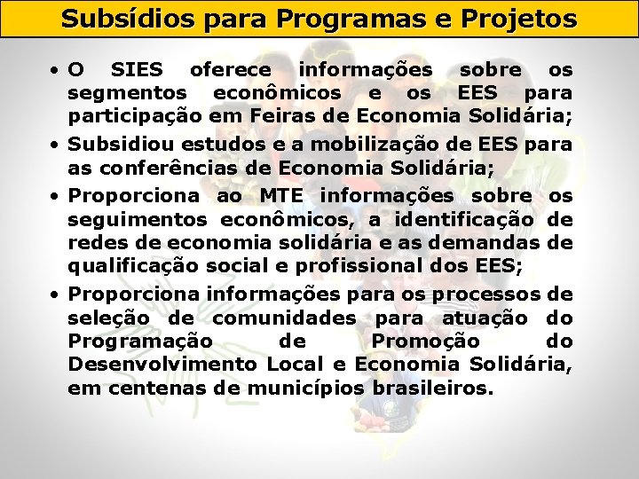 Subsídios para Programas e Projetos • O SIES oferece informações sobre os segmentos econômicos