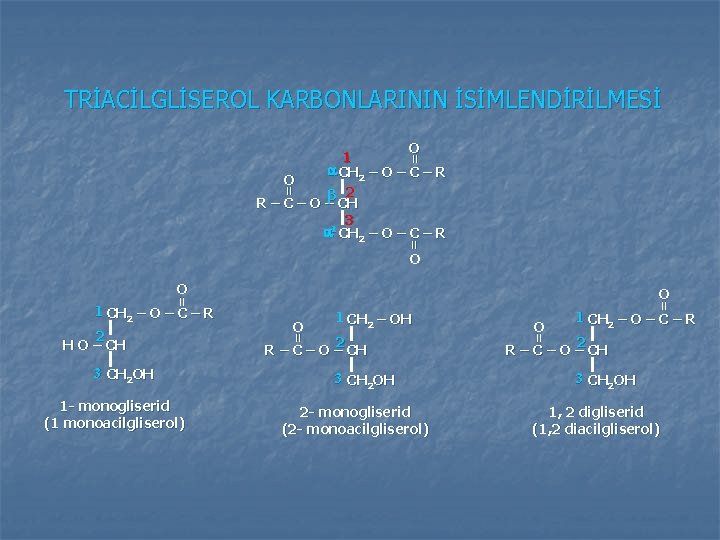 TRİACİLGLİSEROL KARBONLARININ İSİMLENDİRİLMESİ = = = O 1 CH 2 – O – C TRİACİLGLİSEROL KARBONLARININ İSİMLENDİRİLMESİ = = = O 1 CH 2 – O – C
