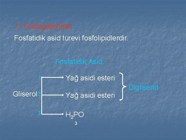 1 - Fosfogliseridler : Fosfatidik asid türevi fosfolipidlerdir. Fosfatidik Asid: 1 Gliserol 2 3 1 - Fosfogliseridler : Fosfatidik asid türevi fosfolipidlerdir. Fosfatidik Asid: 1 Gliserol 2 3