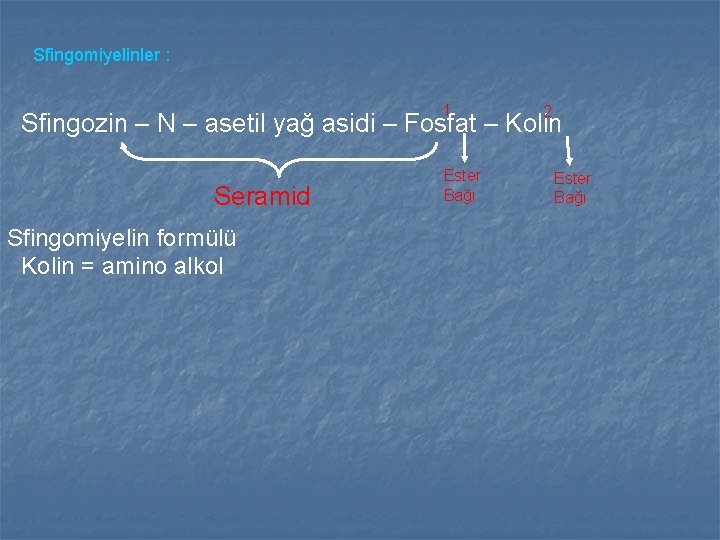 Sfingomiyelinler : 1 2 Sfingozin – N – asetil yağ asidi – Fosfat – Sfingomiyelinler : 1 2 Sfingozin – N – asetil yağ asidi – Fosfat –