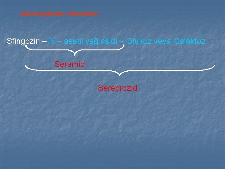 Glikosfingolipidler (Glikolipidler) Sfingozin – N – asetil yağ asidi – Glukoz veya Galaktoz Seramid Glikosfingolipidler (Glikolipidler) Sfingozin – N – asetil yağ asidi – Glukoz veya Galaktoz Seramid
