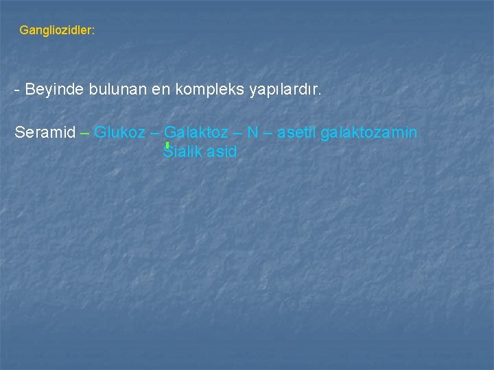 Gangliozidler: - Beyinde bulunan en kompleks yapılardır. Seramid – Glukoz – Galaktoz – N Gangliozidler: - Beyinde bulunan en kompleks yapılardır. Seramid – Glukoz – Galaktoz – N
