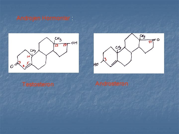 Androjen Hormonlar : Testosteron Androsteron Androjen Hormonlar : Testosteron Androsteron