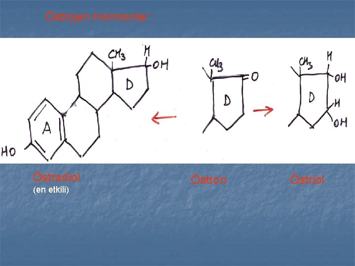 Östrojen Hormonlar : Östradiol (en etkili) Östron Östriol Östrojen Hormonlar : Östradiol (en etkili) Östron Östriol