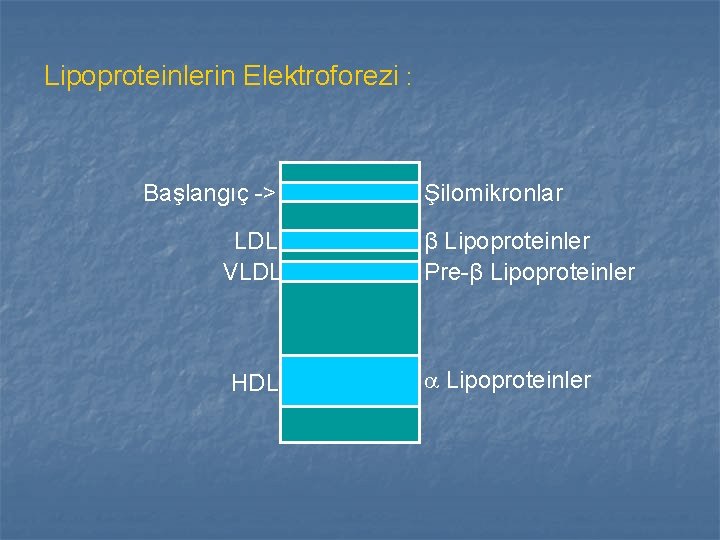 Lipoproteinlerin Elektroforezi : Başlangıç -> LDL VLDL HDL Şilomikronlar β Lipoproteinler Pre-β Lipoproteinler Lipoproteinlerin Elektroforezi : Başlangıç -> LDL VLDL HDL Şilomikronlar β Lipoproteinler Pre-β Lipoproteinler