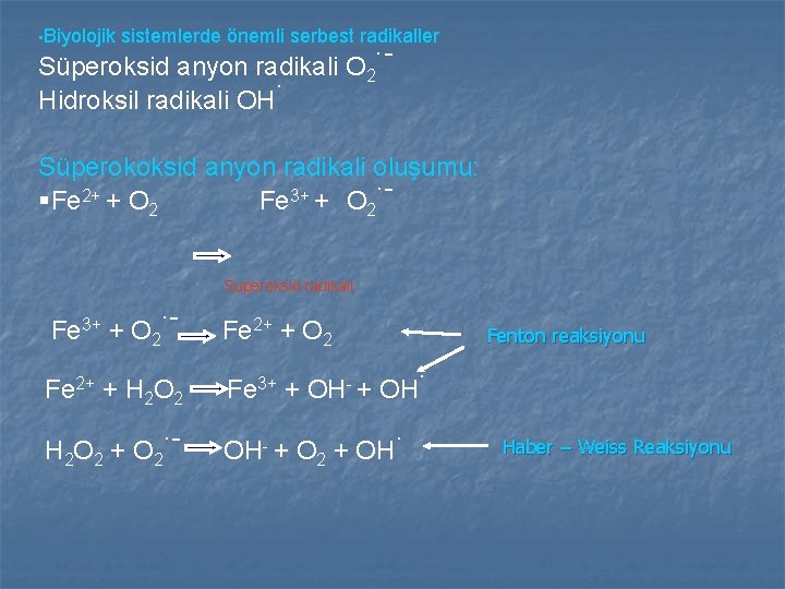 • Biyolojik sistemlerde önemli serbest radikaller Süperoksid anyon radikali O 2. Hidroksil radikali • Biyolojik sistemlerde önemli serbest radikaller Süperoksid anyon radikali O 2. Hidroksil radikali