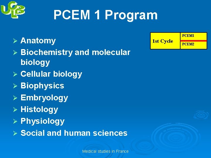 PCEM 1 Program Anatomy Ø Biochemistry and molecular biology Ø Cellular biology Ø Biophysics